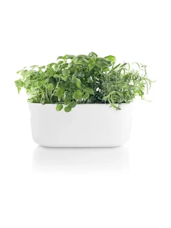 Altakasteleva yrttilaatikko valk.