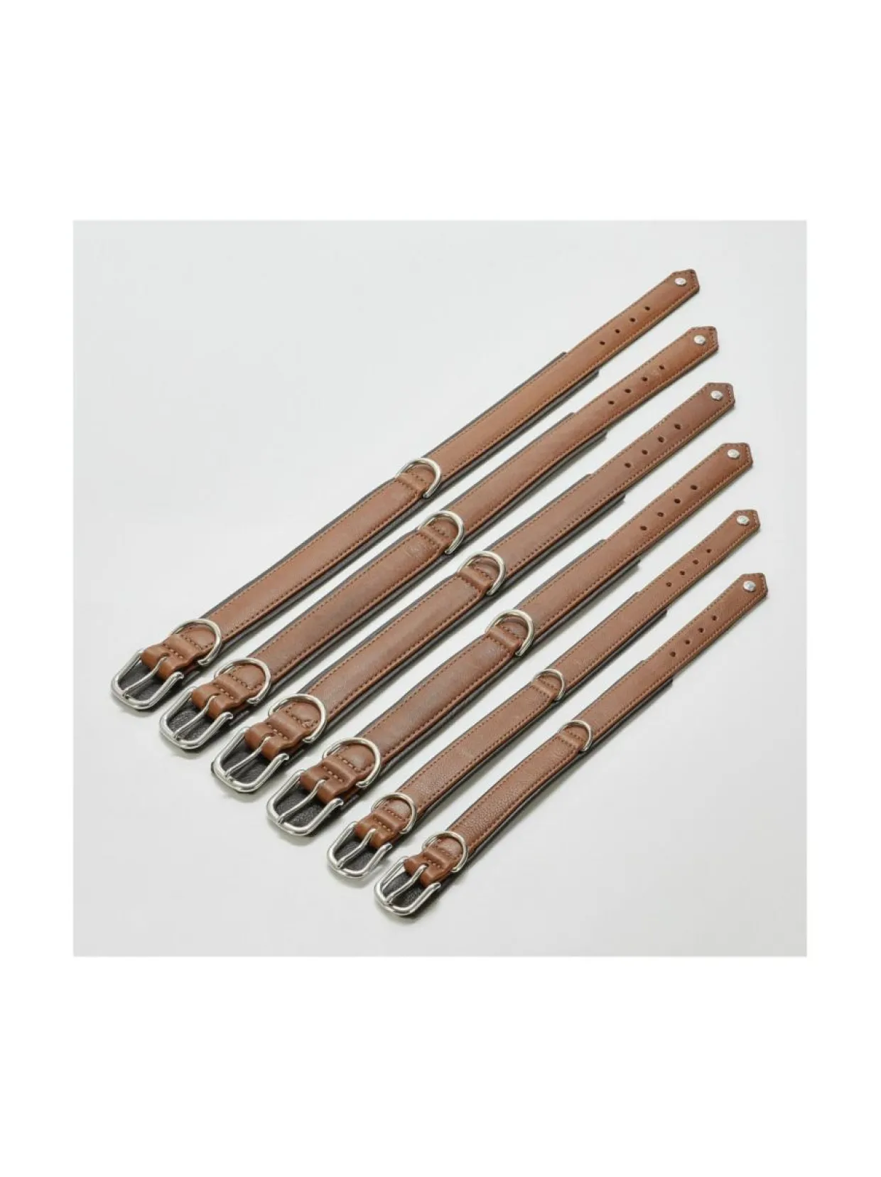 Amici kaulapanta + hihna setti - Konjakki