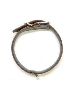 Amici kaulapanta + hihna setti - Konjakki