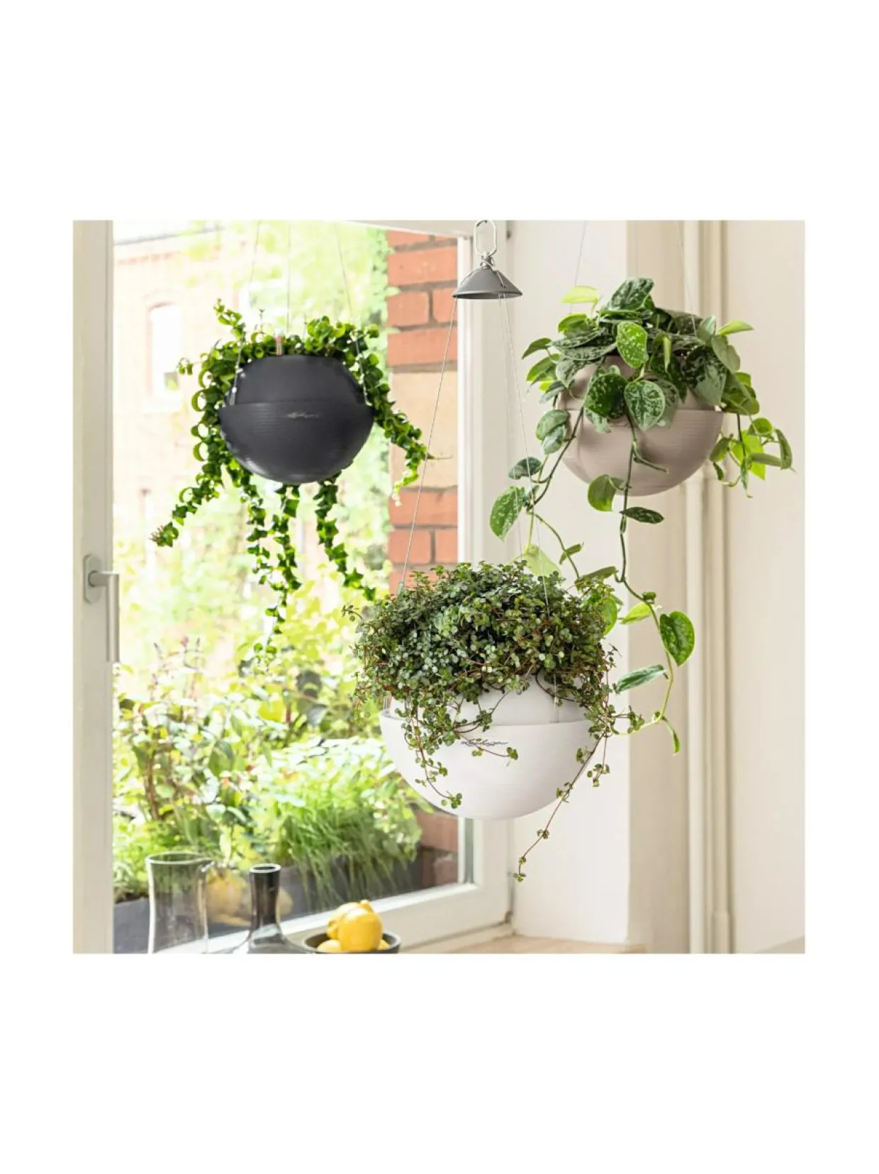 Amppeli Bola Color altakasteluruukku Lechuza