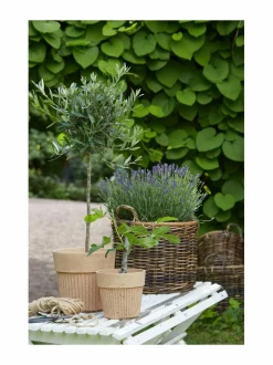 Anita S -betoniruukku 15 x 14 cm