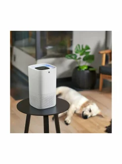 AP-100CW -ilmanpuhdistin