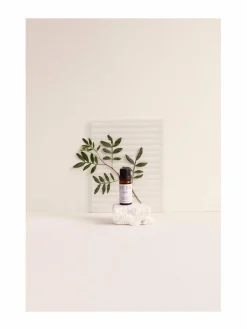 Aroma Stone & Eucalyptus -tuoksukivi ja eteerinen öljy