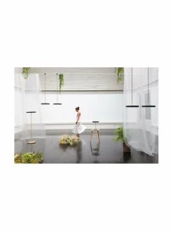 Asteria-pöytävalaisin