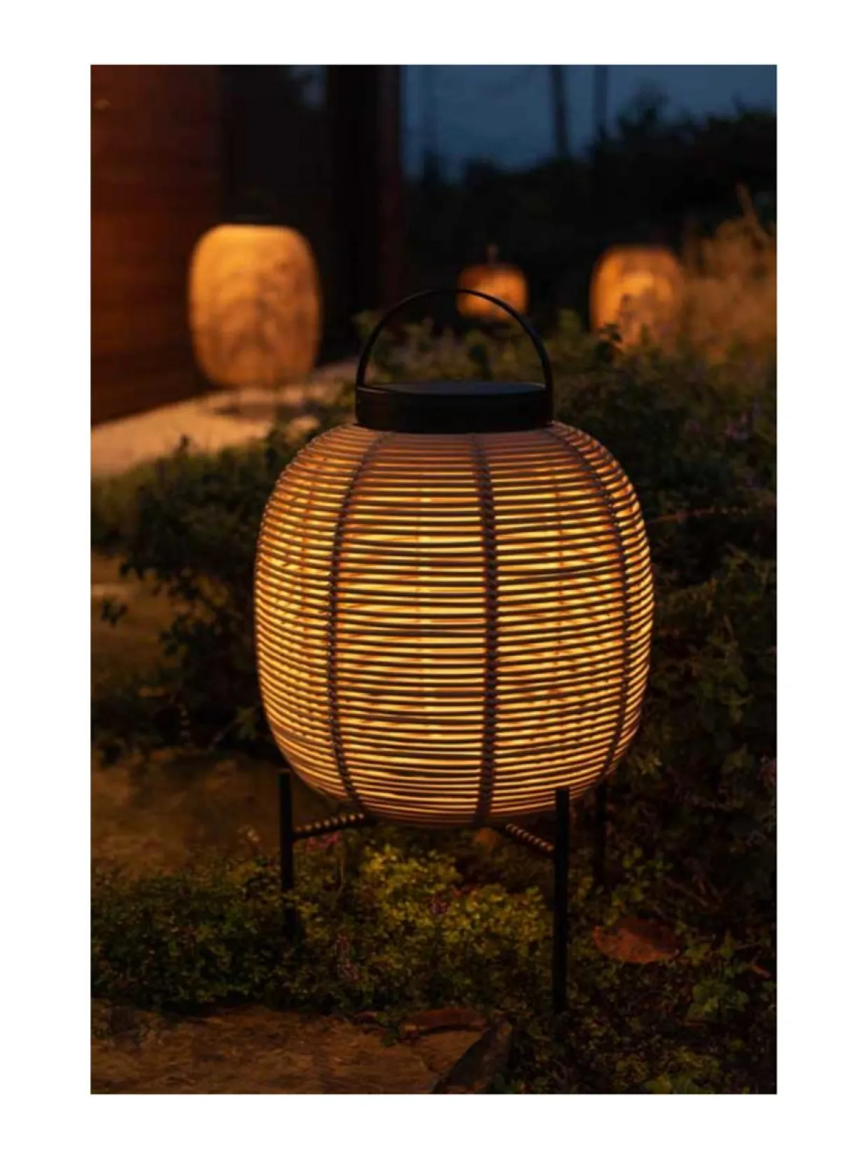 Aurinkokennovalaisin Tika 59 cm, teräsjalka, Camel