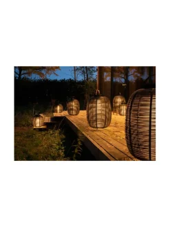 Aurinkokennovalaisin Tika 59 cm, musta