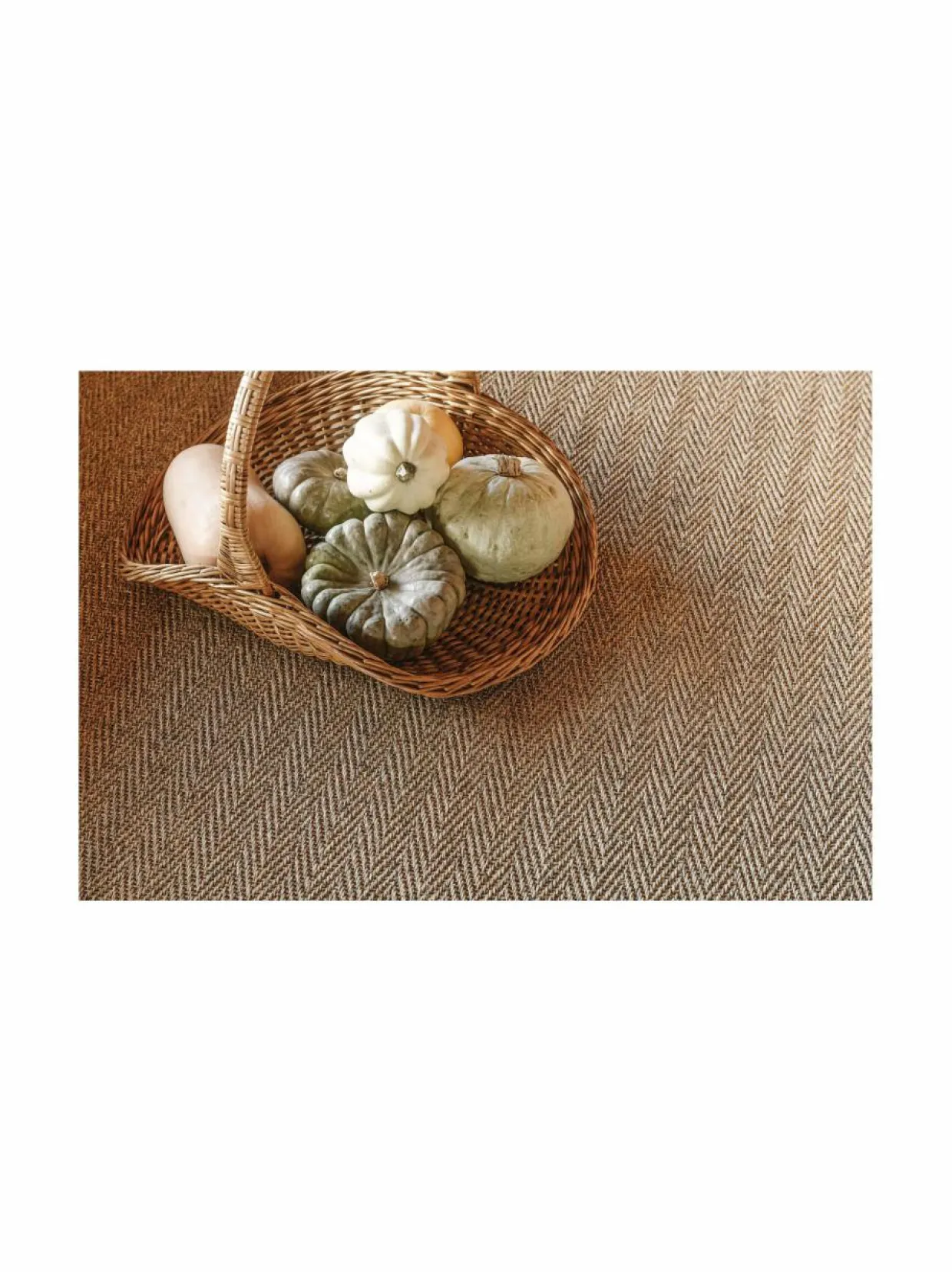 Barrakuda-sisalmatto