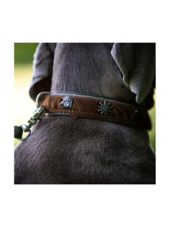 Bavaria kaulapanta ja hihna - Ruskea & vihreä