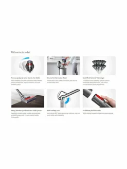 Big Ball Parquet 2 -pölynimuri