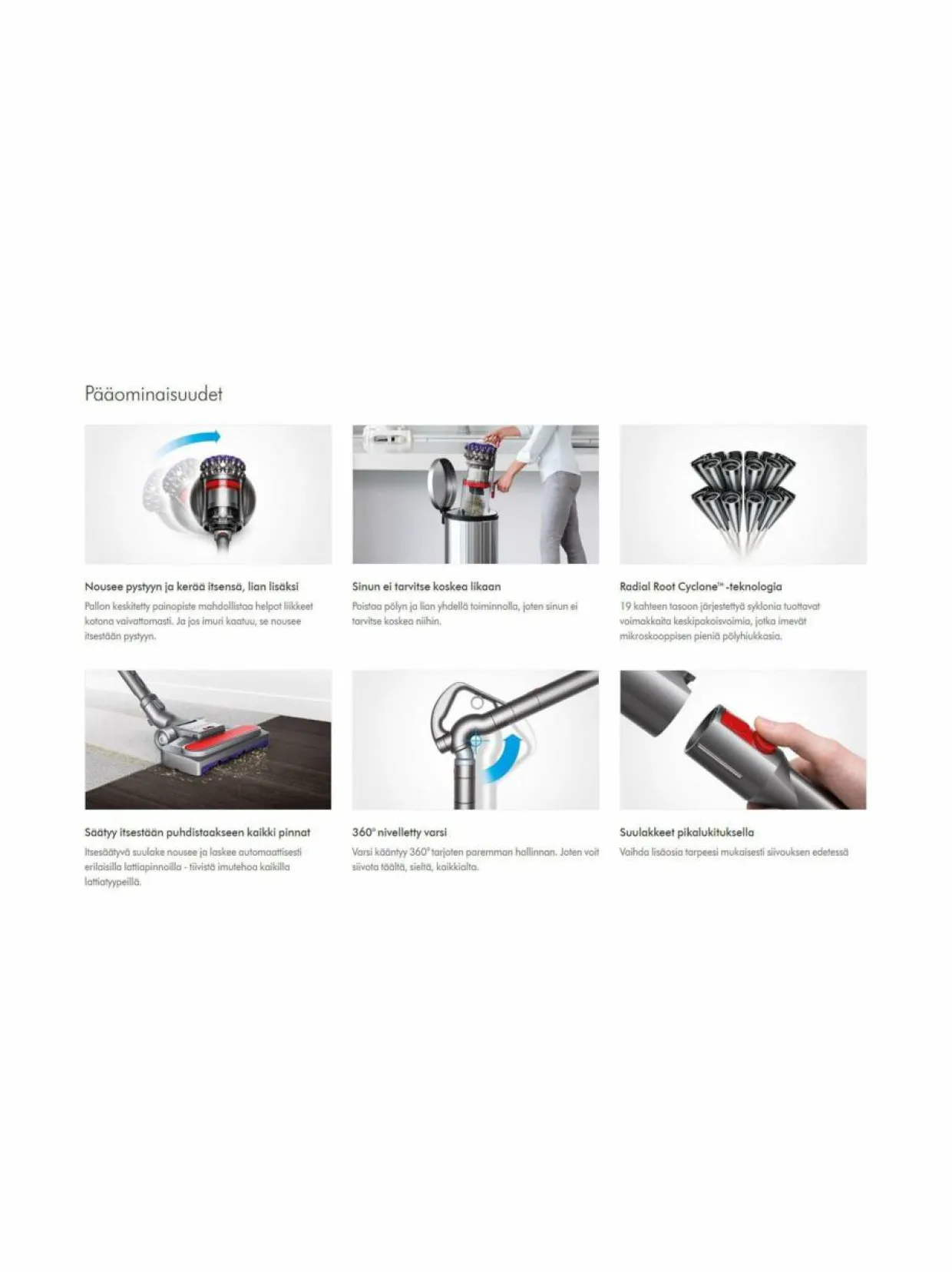 Big Ball Parquet 2 -pölynimuri