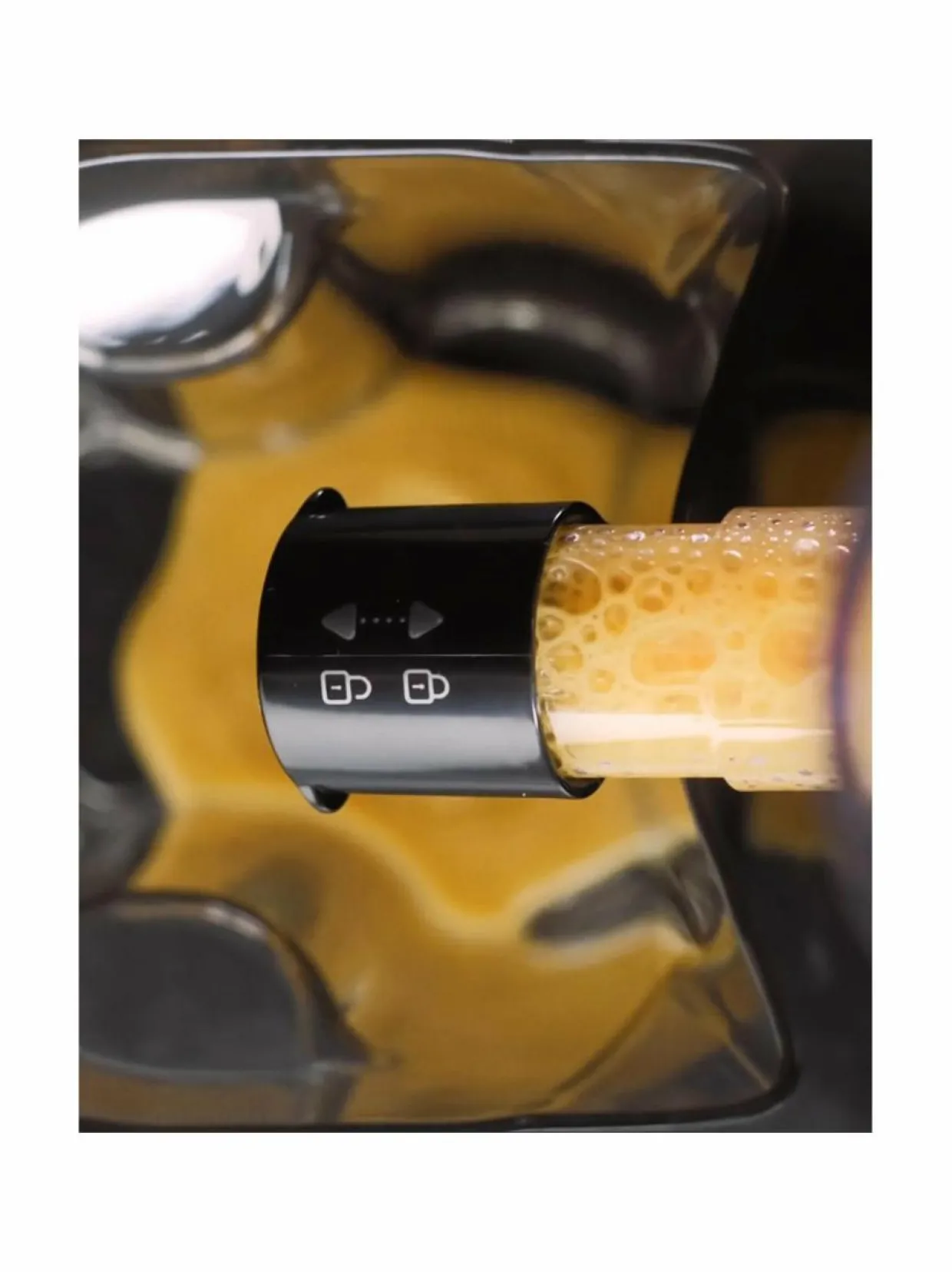 Blendforce- tehosekoitin ja mehupuristin 1,25 l, 600 W