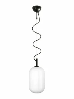 Bloom-riippuvalaisin