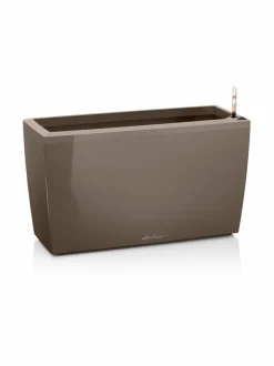 Cararo Premium Taube Altakasteluruukku rullilla 75x30cm, korkeus 43cm