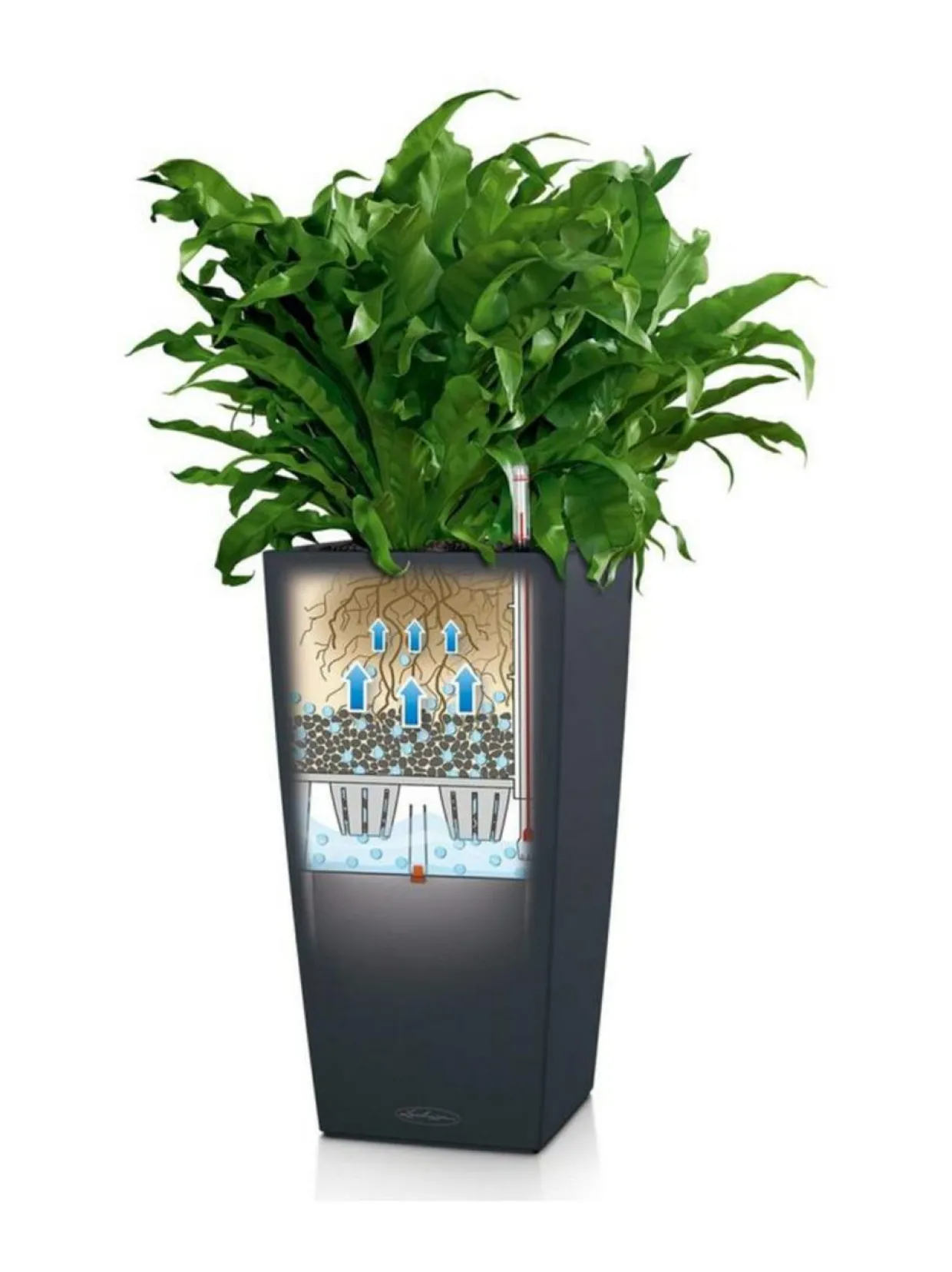 CUBICO Color 22 matta Tummaharmaa Altakasteluruukku ∅22x22cm korkeus 41cm