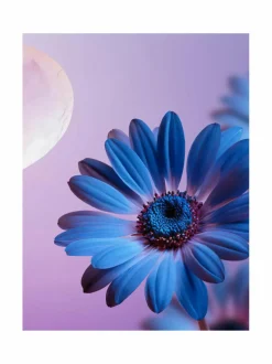 Daydreamer-tuoksukynttilä