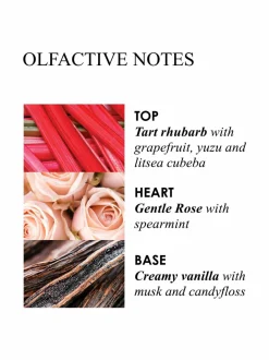 Delicious Rhubarb & Rose Aroma Reeds -tuoksutikut 150 ml