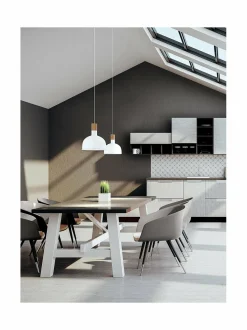 Dominica-kattovalaisin