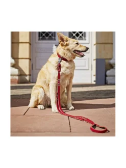 Edelweiss kaulapanta ja talutushihna