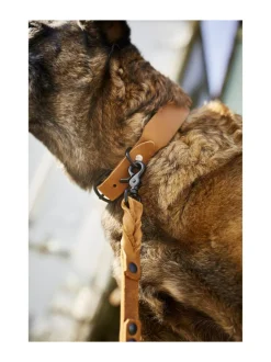 Giro talutushihna 2 m