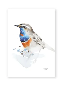 Juliste Sinirinta 50x70 cm