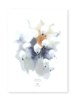 Juliste Tupasvilla 50x70 cm