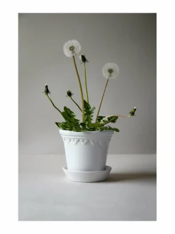 Københavner-ruukku 16 cm