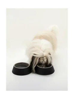 Koiran keraaminen ruokakulhosetti, 2 kulhoa, musta (alaspäin levenevät kulhot)