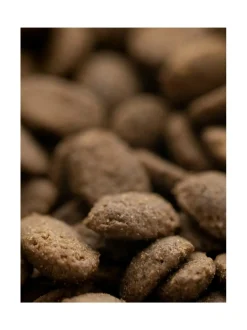 Koiran keraaminen ruokakulhosetti, 2 kulhoa, musta (alaspäin levenevät kulhot)