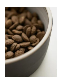 Koiran keraaminen ruokakulhosetti, 2 kulhoa, musta (ylöspäin levenevät kulhot)