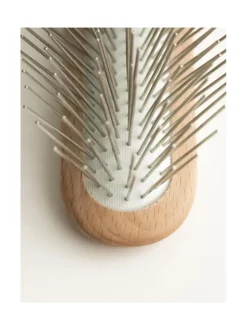 Koiran metallipiikkiharja