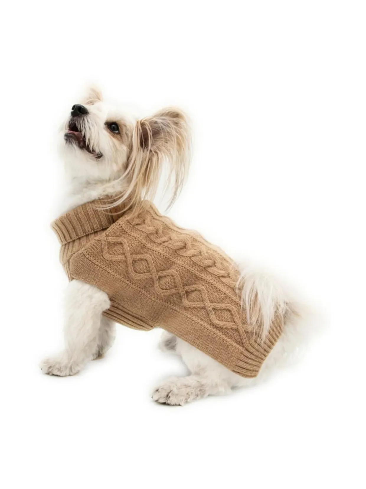 Koiran neule, palmikko, beige