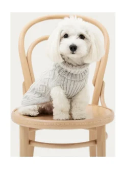 Koiran neule, palmikko, harmaa