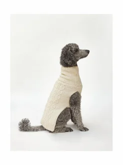 Koiran neule, palmikko, vaalea beige