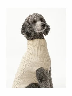 Koiran neule, palmikko, vaalea beige