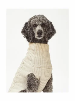 Koiran neule, palmikko, vaalea beige