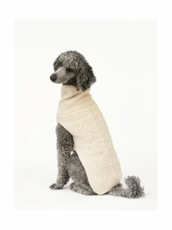 Koiran neule, palmikko, vaalea beige