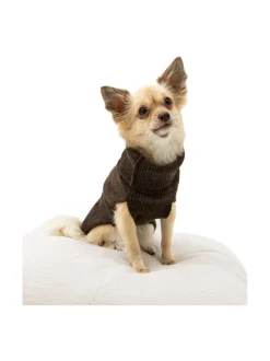 Koiran neule, sileä, ruskea