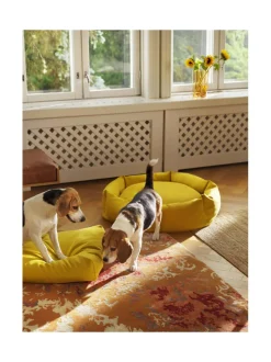 Koiranpeti Luoto Kanto x Kvadrat