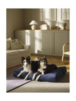 Koiranpeti Oksa Kanto x Kvadrat