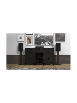 KS-28 Kaiutinjalkapari