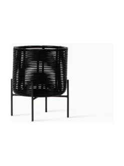 Kukkateline Ivo, S, Black