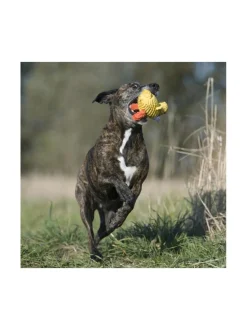 Lelupaketti #3 - Emma, Kalli, Franzi