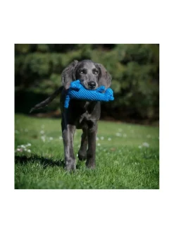 Lelupaketti #1 - Kurt, Emma, Kalmari