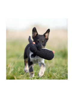 Lelupaketti #2 - Poldi, Didi, Franzi