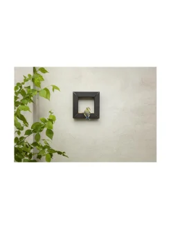 Lintulauta Frame 21 x 21 cm musta