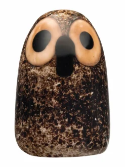 Little Barn Owl -lasikoriste