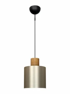 Log 20 -kattovalaisin