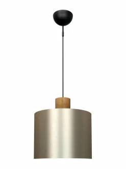 Log 30 -kattovalaisin