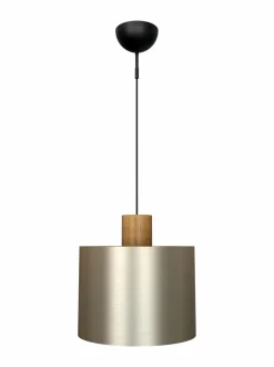 Log 30 -kattovalaisin