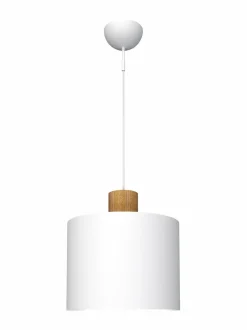 Log 30 -kattovalaisin